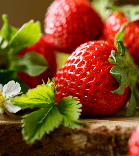 Mehr als nur süß: So gut sind Erdbeeren wirklich
